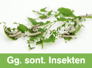 Gehe zu Insektenfallen