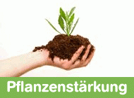 Gehe zu Pflanzenst�rkung