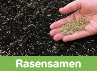 Gehe zu Rasensamen