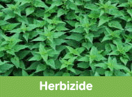 Gehe zu Herbizide