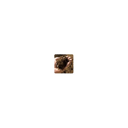Bodentester
