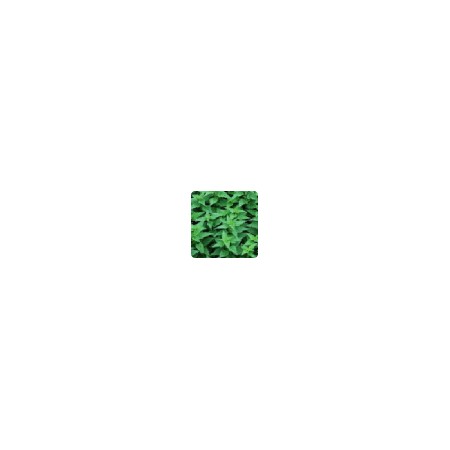 Herbizide