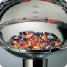 Holzkohlegrill