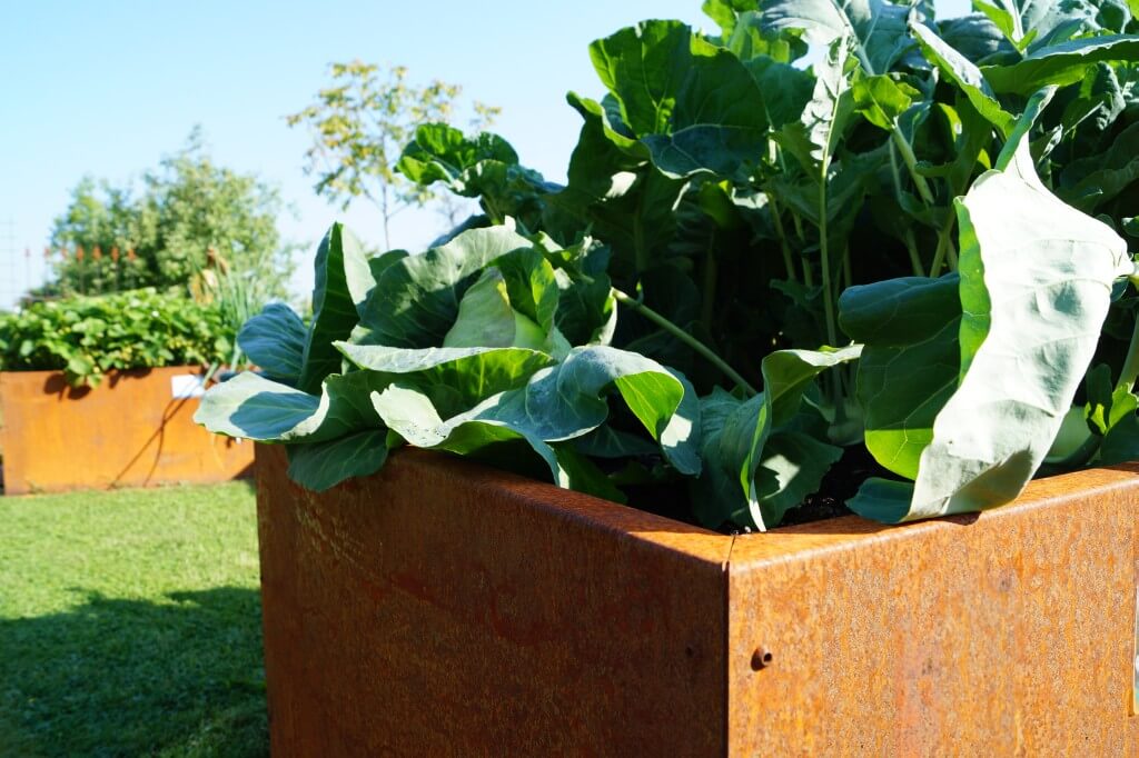 Edelrost Hochbeete bei Gartenallerlei.de