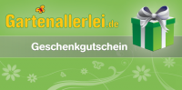 Geschenkgutschein