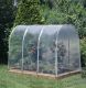 Juwel Tunnelfolie f&uuml;r Tomatenhaus