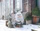 Motivset "Schneemann" - klein