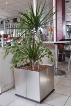 Edelstahl Hochbeet "Cubus 50"