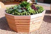 Hochbeet Holz Modell Classic