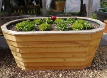Hochbeet Holz Modell Oval Gr.2