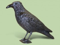 Rabe aus Kunststoff Taubenabwehr