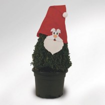 Motiv "Santa Claus"