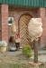 Winterschutzvlies beige 150x500 34g Bild 2