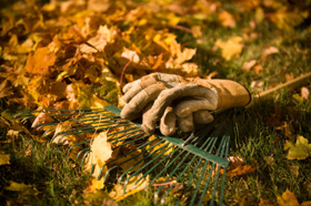 Gartenarbeiten Herbst