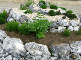 Ein Kräutergarten