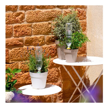 Hozelock Aquasolo (S) - fr Tpfe bis 25cm