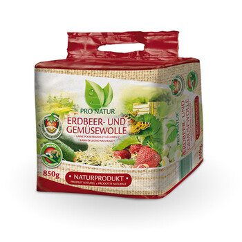 Erdbeer+Gemüsewolle 850g
