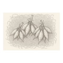 Erdbeer+Gemüsewolle 850g