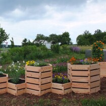 Waben-Hochbeet "Cella Solo" 29cm