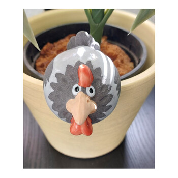 Huhn Randsitzer