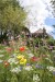 Blumenwiese "Alle Bodenarten" 30m²