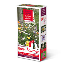 Blumenwiese Unter Bumen