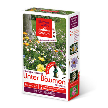 Blumenwiese Unter Bumen 7m