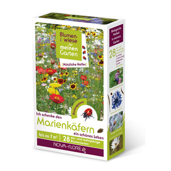 Blumenwiese Marienkfer 7m