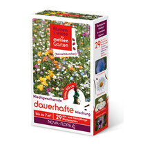 Blumenwiese Dauerhafte Mischung 7m