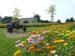 Blumenwiese "Bunte Mischung" 30m²